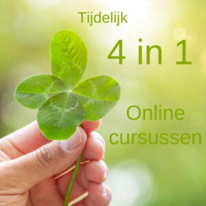 4 in 1 online cursussen
